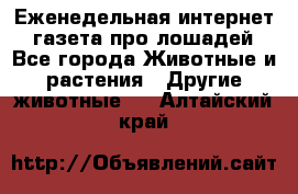 Еженедельная интернет - газета про лошадей - Все города Животные и растения » Другие животные   . Алтайский край